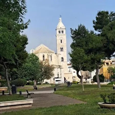 Soleemare בארלטה