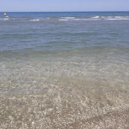 Soleemare